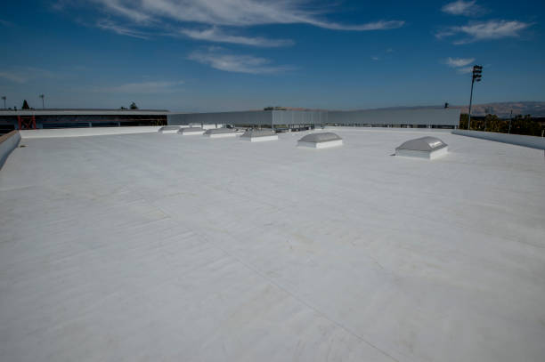 Best Skylight Installation and Repair  in Morgantown, WV