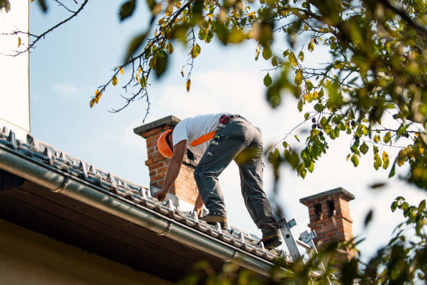 Best Green or Eco-Friendly Roofing Solutions  in Morgantown, WV